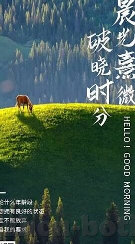 足球全场其他比分-足球全场其他比分,赛场背后的多元风景线